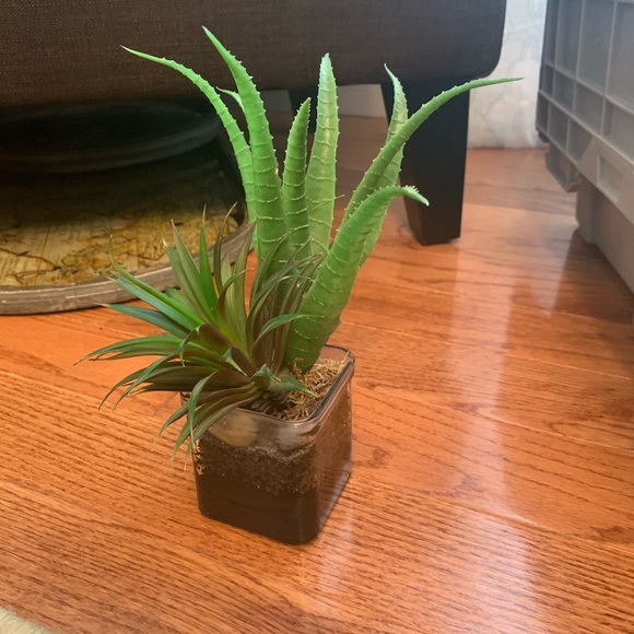 Artificial succulents in glass jar - Picture 3 of 3